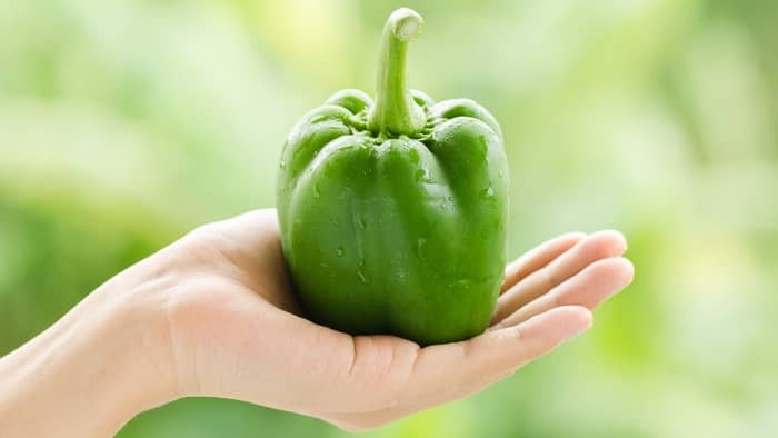 Are sweet pepper plants poisonous to cats?