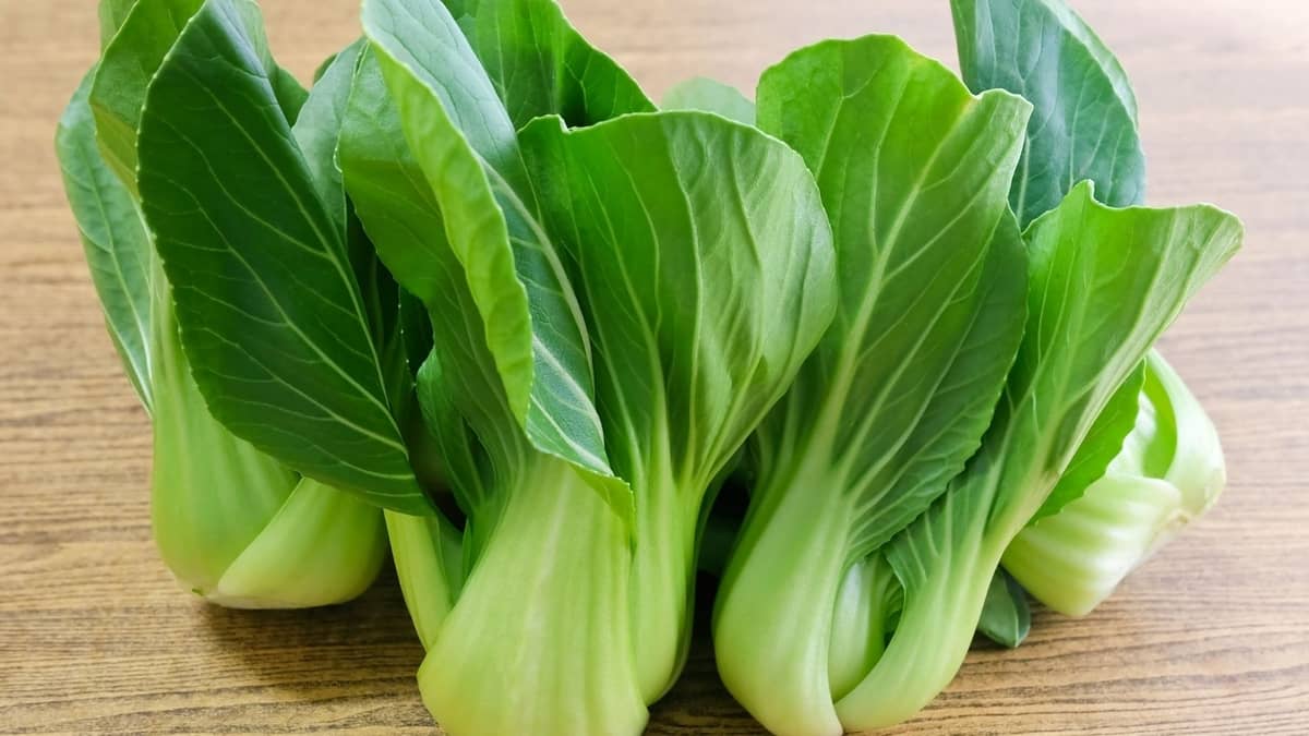 Fresh Veggies For Cats: Can Cats Eat Bok Choy?